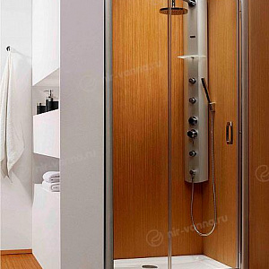 Душевая дверь в нишу Radaway Premium Plus DWJ 110 прозрачное стекло 107,5-111,5*190 без поддона